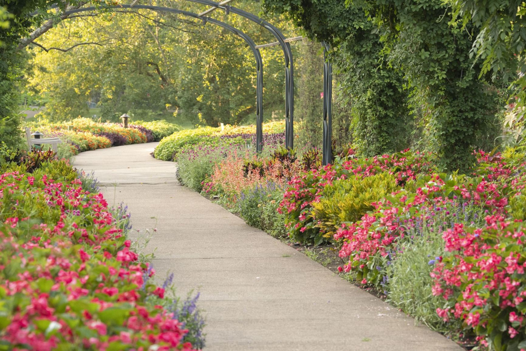 Gardens view