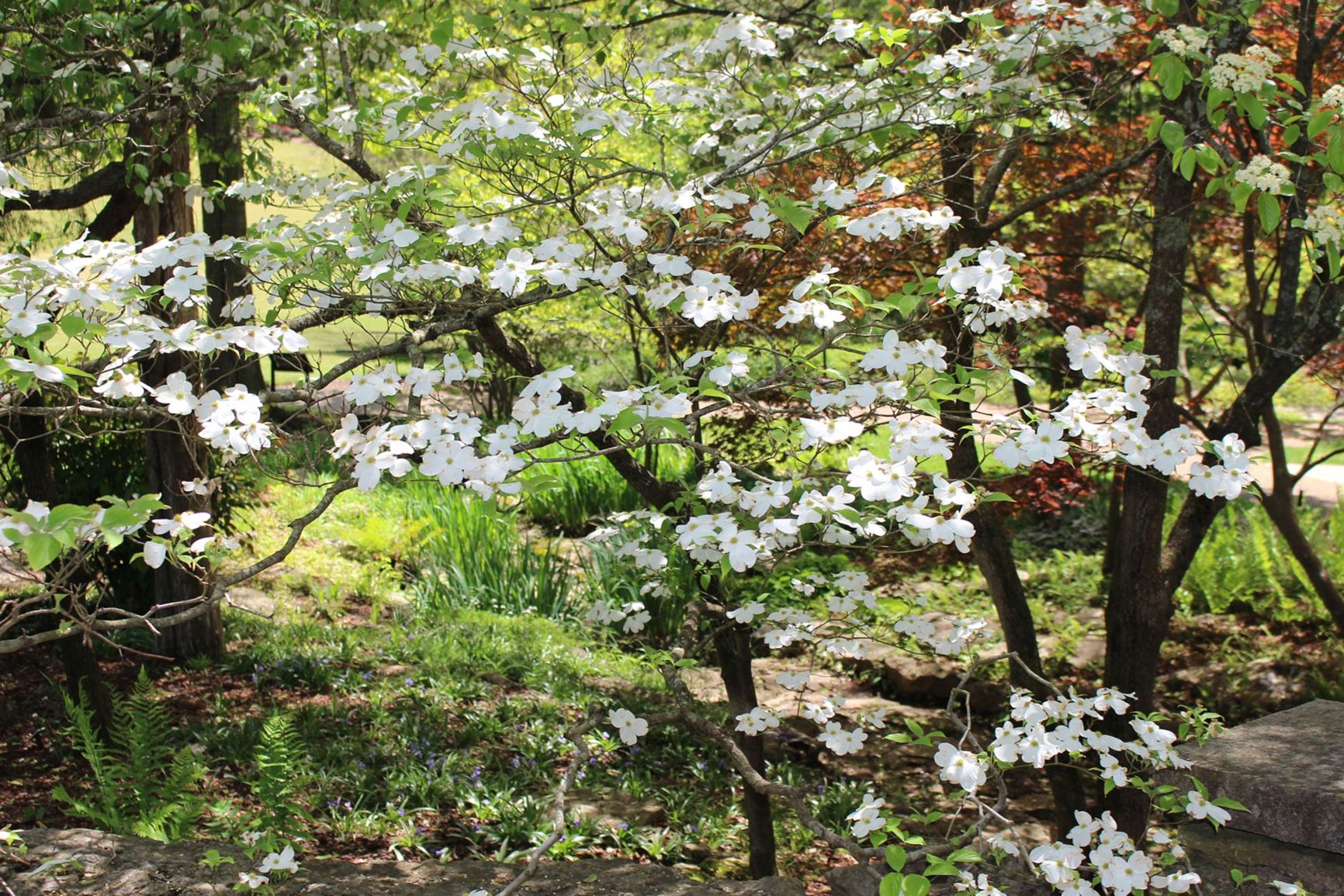 Gardens view